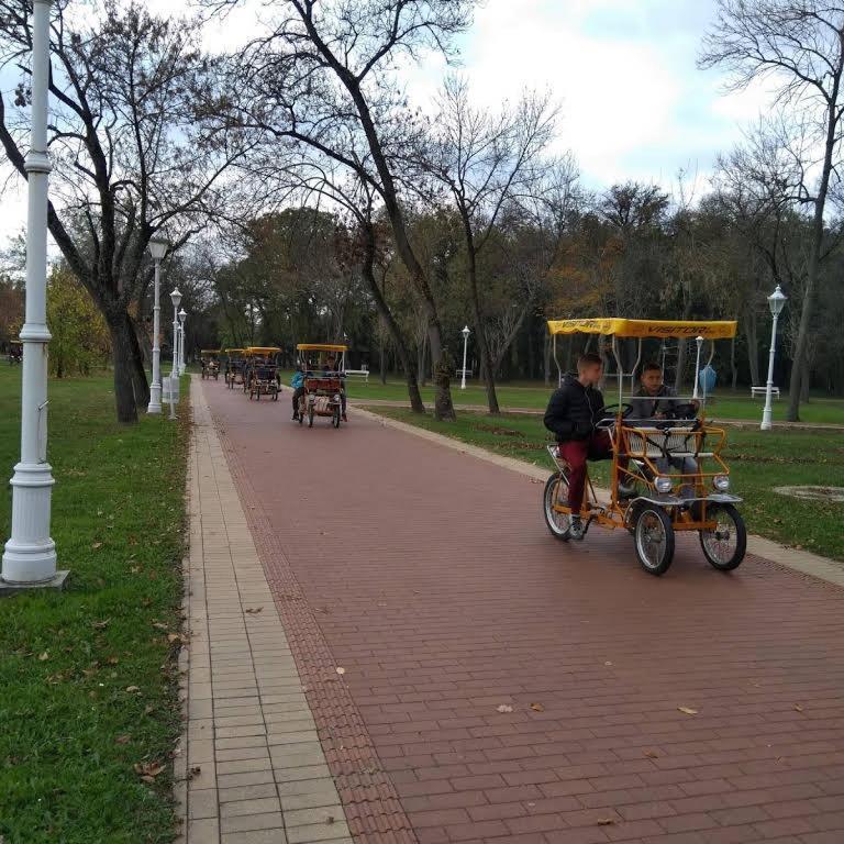 Apartman Buba Palić Exterior foto